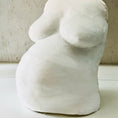 Bild in Galerie-Betrachter laden, Gipsbinde für Babybauch - Abdruck – Abformbinde für Schwangerschaftsabdruck | 10 cm x 3 m - Atelier Body - pArts