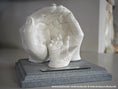 Bild in Galerie-Betrachter laden, 3D Hand - oder Fußabdruck, Veredelung & Lackierung, > 10 Jahre - Atelier Body - pArts
